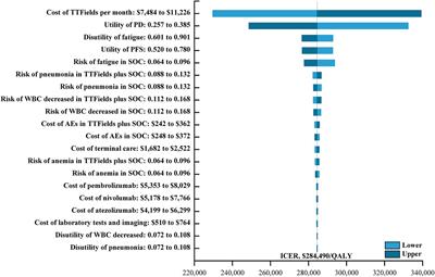 Cost-effectiveness analysis of Tumor Treating Fields treatment in Chinese patients with metastatic non-small cell lung cancer